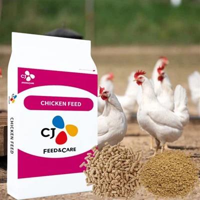 ברוילער גראָווער פיטער