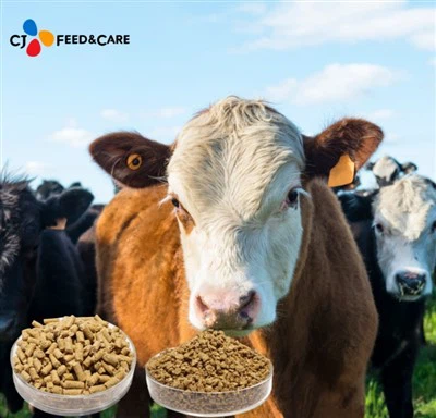 פיך גראָווער פיטער